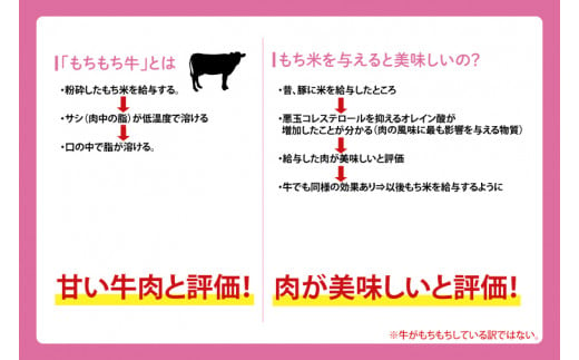 無添加【しわ　もちもち牛】ハンバーグ６個・【しわ豚】ハンバーグ６個　食べ比べセット (AM006-1)