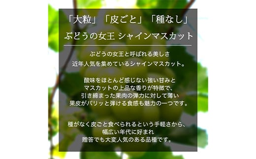 【9月下旬発送予定】数量限定【岩手県産ぶどう】シャインマスカット約1kg （AR006-1）