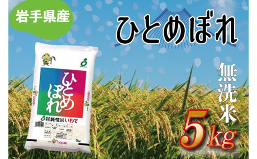 ★令和6年産★【無洗米】岩手県産ひとめぼれ5kg (AE173)