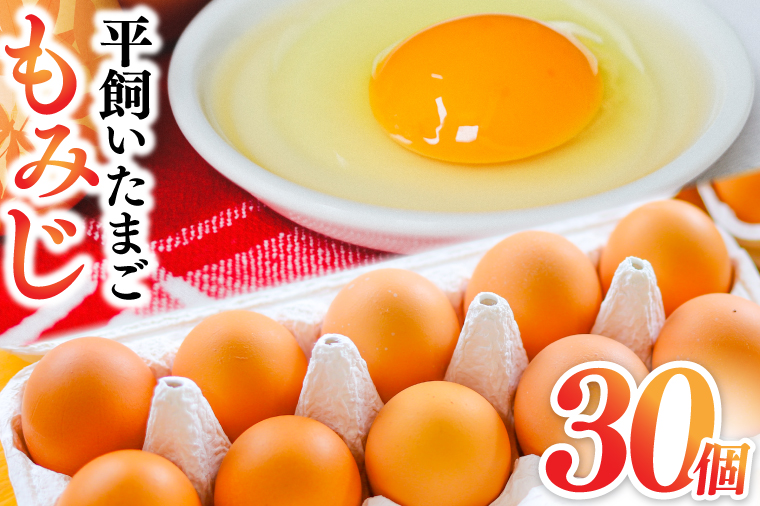 【純国産鶏もみじ】平飼い卵30個入り 破損保証5個を含む (AJ005-2)