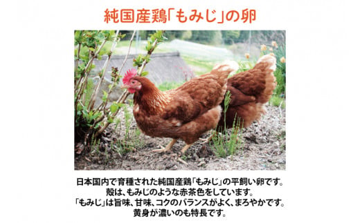 【純国産鶏もみじ】平飼い卵25個入り (AJ005-2)