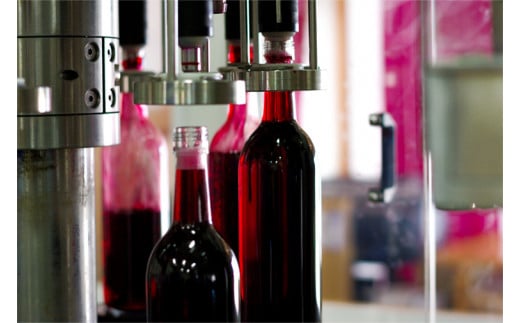 産地限定 ワインぶどう品種 使用 「自園自醸ワイン紫波辛口５本セット」紫波町産 テロワール ワイン (AL035)