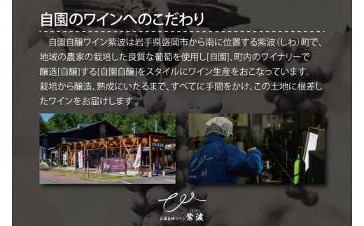 産地限定 ワインぶどう品種 使用 「自園自醸ワイン紫波辛口５本セット」紫波町産 テロワール ワイン (AL035)