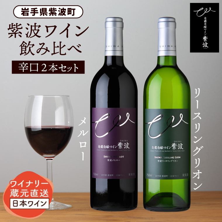 産地限定 ワインぶどう品種使用 自園自醸ワイン紫波 辛口ワイン2本セット 紫波町産 テロワール ワイン (AL045-1)