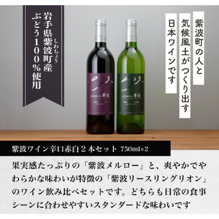 産地限定 ワインぶどう品種使用 自園自醸ワイン紫波 辛口ワイン2本セット 紫波町産 テロワール ワイン (AL045-1)