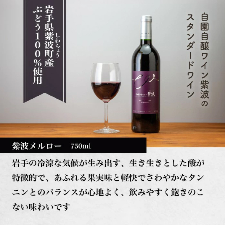 産地限定 ワインぶどう品種使用 自園自醸ワイン紫波 辛口ワイン2本セット 紫波町産 テロワール ワイン (AL045-1)