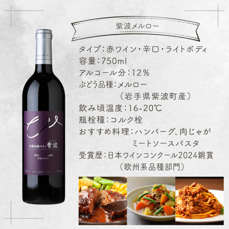 産地限定 ワインぶどう品種使用 自園自醸ワイン紫波 辛口ワイン2本セット 紫波町産 テロワール ワイン (AL045-1)