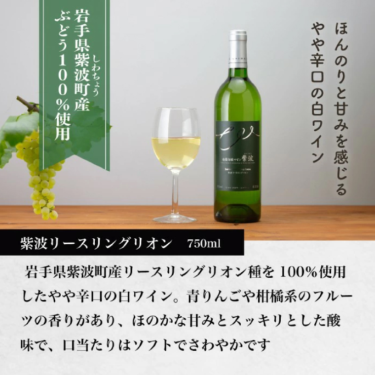 産地限定 ワインぶどう品種使用 自園自醸ワイン紫波 辛口ワイン2本セット 紫波町産 テロワール ワイン (AL045-1)