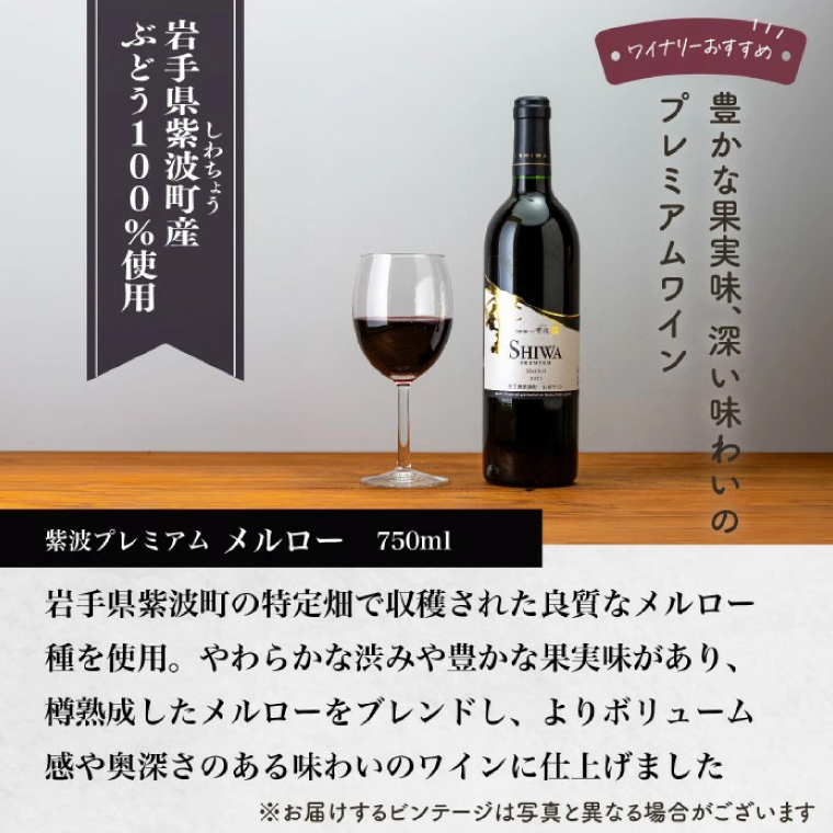 産地限定 ワインぶどう品種使用 自園自醸ワイン紫波 プレミアムワイン2本セット 紫波町産 テロワール ワイン (AL046-1)