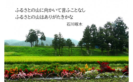シシ莉、蜥7蟷エ逕」シ 螳檎溘≠縺暮區邀ウ (邊セ逋ス邀ウ) 5kg 縺イ縺ィ繧√⊂繧 迚ケ蛻・譬ス蝓ケ邀ウ 逕溽肇霎イ螳カ逶エ騾 (CP028)