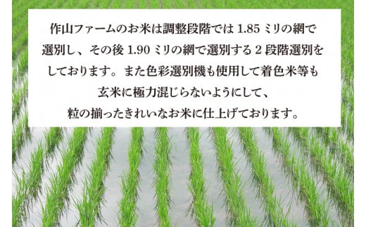 ＼令和7年産／ 完熟夕陽米 (玄米) 20kg (5kg×4) ひとめぼれ 特別栽培米 生産農家直送 (CP036)