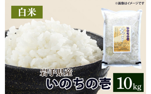 令和6年産 いのちの壱 「精米」 10kg (CA022)