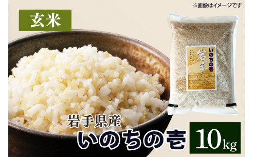 令和6年産 いのちの壱 「玄米」10kg　(CA023)