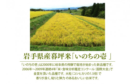 令和6年産 いのちの壱 「玄米」10kg　(CA023)