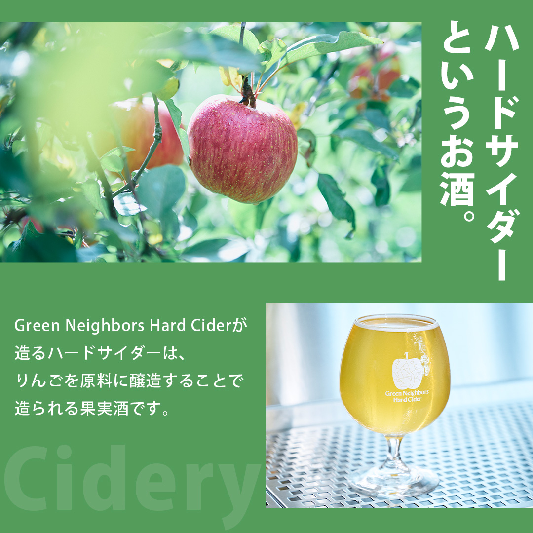 FLAGSHIP 3種 6本 set (DRY / SOUR / CLEAR) 酸化防止剤無添加 ハードサイダー シードル りんご リンゴ アルコール 酒 セット 果汁100％ Green Neighbors Hard Cider (DB013)