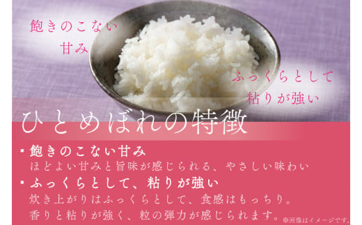 ★令和6年産★特A受賞 銀河のしずく・ひとめぼれ食べ比べセット10kg (無洗米)(各種5kg) (AE165)