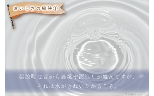 ★令和6年産★特A受賞 銀河のしずく・ひとめぼれ食べ比べセット10kg (無洗米)(各種5kg) (AE165)