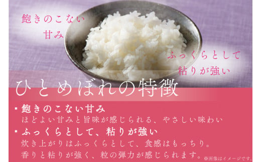 【3ヶ月定期便】 ★令和7年産★ 銀河のしずく / ひとめぼれ 各種 5kg (合計 10kg) 食べ比べ 10kg 米 無洗米 特A受賞 お米 ご飯 ライス お米食べ比べセット 岩手県産 (AE167)