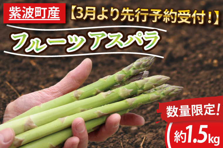 ＼先行予約・数量限定／紫波町産フルーツアスパラ 約1.5kg 路地栽培の野菜 木酢液防虫 新鮮野菜 生でもたべれる (CS002)