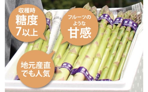 ＼先行予約・数量限定／紫波町産フルーツアスパラ 約1.5kg 路地栽培の野菜 木酢液防虫 新鮮野菜 生でもたべれる (CS002)