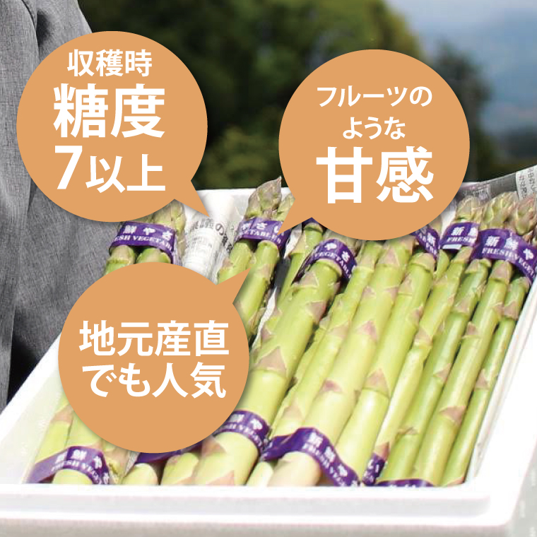 ＼先行予約・数量限定／紫波町産フルーツアスパラ ★Lサイズ以上★ 約1.2kg (150g束×8束入り) 露地栽培の野菜 木酢液防虫 新鮮野菜 生でもたべれる (CS002) 