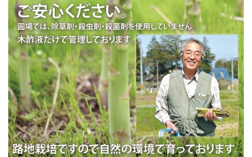 ＼先行予約・数量限定／紫波町産フルーツアスパラ 約1.5kg 路地栽培の野菜 木酢液防虫 新鮮野菜 生でもたべれる (CS002)