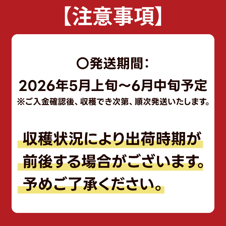 ＼先行予約・数量限定／紫波町産フルーツアスパラ ★Lサイズ以上★ 約1.2kg (150g束×8束入り) 露地栽培の野菜 木酢液防虫 新鮮野菜 生でもたべれる (CS002) 