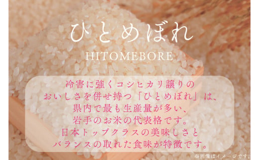 ＼数量限定／ 令和6年産 ひとめぼれ 精米 10kg | 米 お米 コメ 精米 白米 ヒトメボレ 岩手県紫波町 (DZ002)