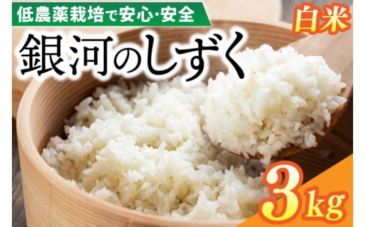 【新米 先行予約】令和6年産 銀河のしずく 3kg (精米) 低農薬栽培米 生産者直送 (EI001)