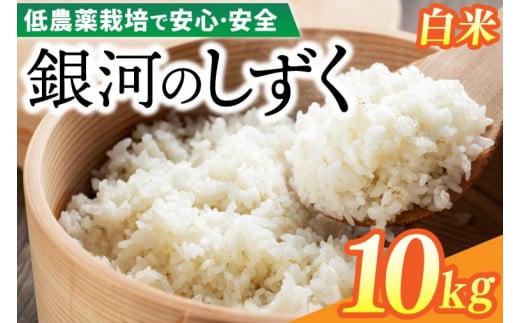 【新米 先行予約】令和6年産 銀河のしずく 10kg (精米) 低農薬栽培米 生産者直送 (EI003)