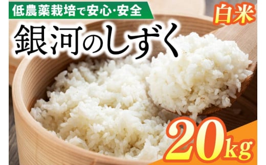 【新米 先行予約】令和6年産 銀河のしずく 20kg (精米) 低農薬栽培米 生産者直送 (EI004)