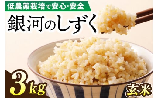 【新米 先行予約】令和6年産 銀河のしずく 3kg (玄米) 低農薬栽培米 生産者直送 (EI006)