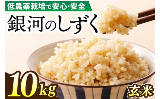 【新米 先行予約】令和6年産 銀河のしずく 10kg (玄米) 低農薬栽培米 生産者直送 (EI008)