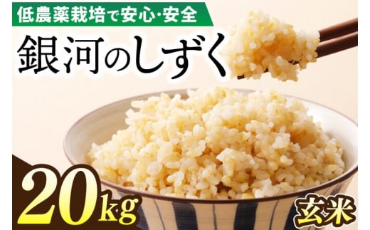 【新米 先行予約】令和6年産 銀河のしずく 20kg (玄米) 低農薬栽培米 生産者直送 (EI009)