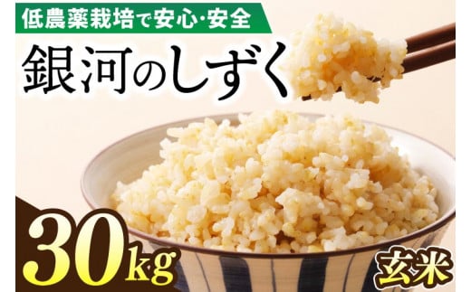 【新米 先行予約】令和6年産 銀河のしずく 30kg (玄米) 低農薬栽培米 生産者直送 (EI010)