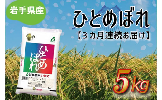 ★令和6年産★【3ヶ月定期便】ひとめぼれ5kg 岩手県産 (AE175)