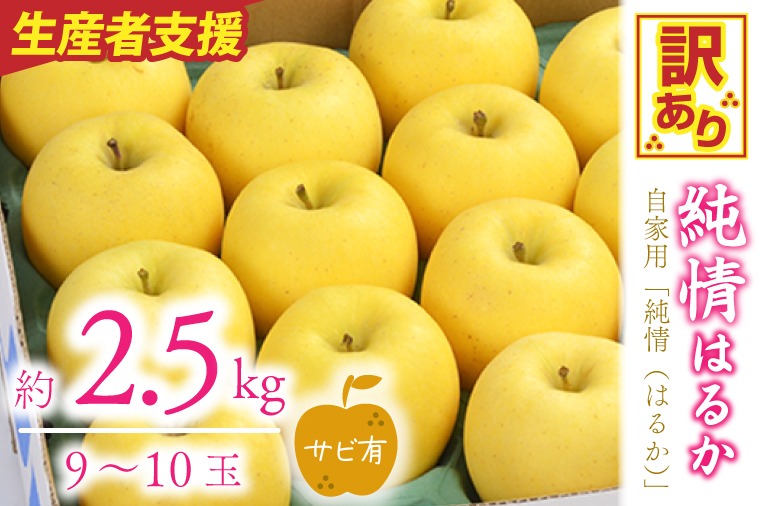 ＼訳あり／りんご 純情 はるか 約2.5kg 糖度14度以上【先行予約 12月発送】数量限定 わけあり 自家用 岩手県産 りんご リンゴ 林檎 はるか 純情はるか フルーツ くだもの 果物 【冬恋研究会】 (AI011)