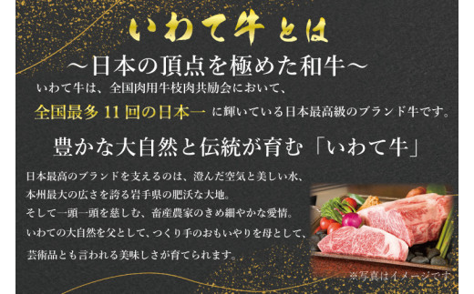 特製 ローストビーフ 600g 黒毛和牛 いわて牛 ブランド牛 国産 和牛 牛肉 肉 ローストビーフ セット 日本一 全国最多 冷凍 良質の脂 上質な牛肉 モモ肉 稲ワラ 循環型農業 米の産地 岩手 いわちく (AB051)