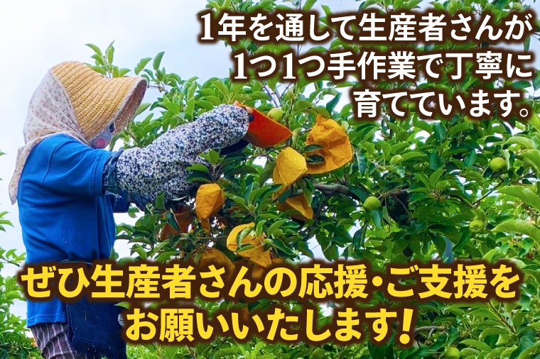 りんご はるか 約2.5kg 糖度14度以上【先行予約 12月発送】数量限定 岩手県産 りんご リンゴ 林檎 はるか 純情はるか フルーツ くだもの 果物 【冬恋研究会】 (AI014)