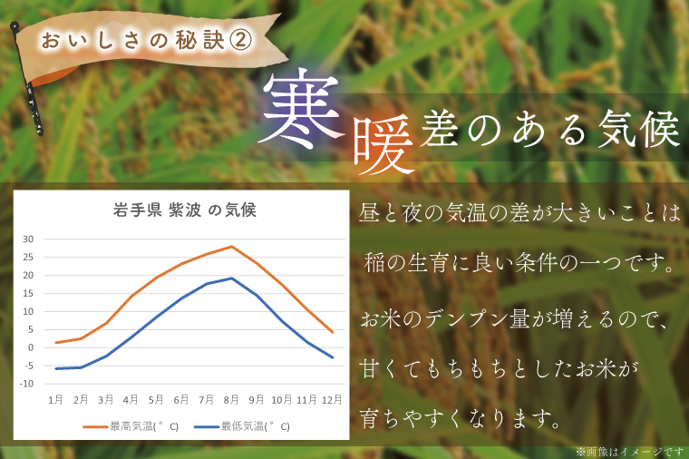 【令和6年産】ひとめぼれ 10kg (5kg×2袋) 【6ヶ月定期】【特別栽培米】 岩手県 紫波町産 (AC029)