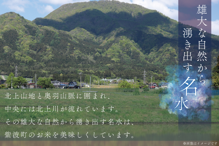 【令和6年産】ひとめぼれ 5kg 【2ヶ月定期】【特別栽培米】 岩手県 紫波町産 (AC024)