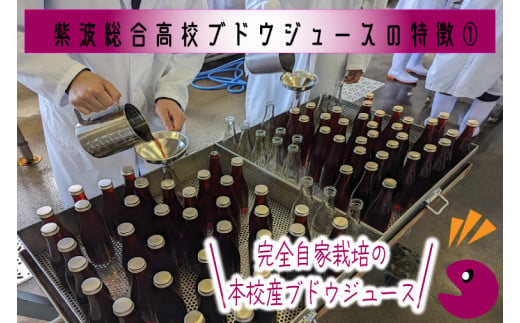 ＼紫波の高校生が作りました！／紫波町産 ぶどうジュース 300ml 2本入り (EC001)