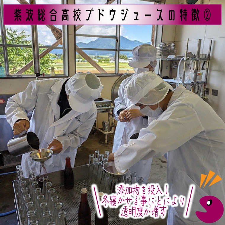 ＼紫波の高校生が作りました！／紫波町産 ぶどうジュース 300ml 2本入り 岩手 紫波町 ぶどうジュース 紫波 高校 岩手県立紫波総合高等学校 選べる フレッシュ(EC001)