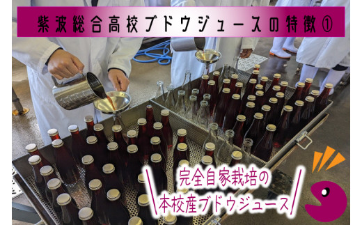 ＼紫波の高校生が作りました！／紫波町産 ぶどうジュース 300ml 6本入り (EC003)