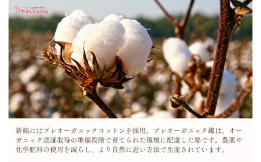 ＼受注生産・職人手作りふとん／セミダブル tsumugi 綿ふとん【掛・敷セット】 (EO006)