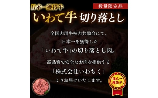 切り落とし 肉 牛肉 小分け 真空冷凍 いわて牛 250g 岩手県産 和牛 牛肉 黒毛 和牛 切り落とし肉 大容量 肉 すき焼き 肉じゃが 煮込み 煮物 赤身 国産牛 小分け 冷凍 数量限定 (AB092)