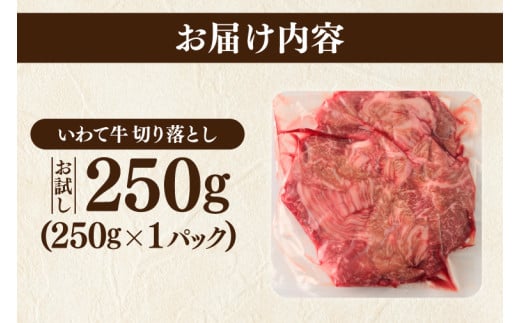 切り落とし 肉 牛肉 小分け 真空冷凍 いわて牛 250g 岩手県産 和牛 牛肉 黒毛 和牛 切り落とし肉 大容量 肉 すき焼き 肉じゃが 煮込み 煮物 赤身 国産牛 小分け 冷凍 数量限定 (AB092)