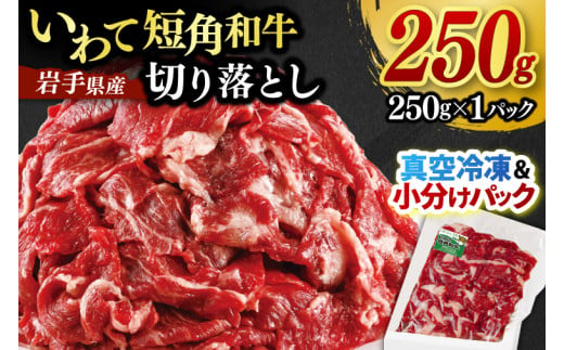 ★先行予約 2月下旬より発送★ 切り落とし 赤身 肉 牛肉 いわて 短角和牛 250g 小分けパック 真空冷凍 | 牛肉 肉 赤身 短角 和牛 国産牛 ブランド牛 切り落し 大容量 牛丼 肉じゃが 煮込み 煮物 小分け 真空パック 数量限定 (AB109)