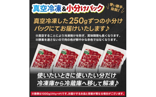 ★先行予約 2月下旬より発送★ 切り落とし 赤身 肉 牛肉 いわて 短角和牛 250g 小分けパック 真空冷凍 | 牛肉 肉 赤身 短角 和牛 国産牛 ブランド牛 切り落し 大容量 牛丼 肉じゃが 煮込み 煮物 小分け 真空パック 数量限定 (AB109)