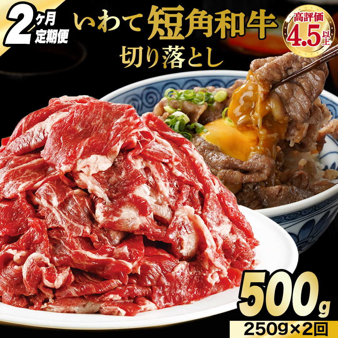 ＼2ヶ月連続 定期便／ 切り落とし 赤身 肉 牛肉 いわて 短角和牛 250g (総計 500g) 小分けパック 真空冷凍 | 牛肉 肉 赤身 短角 和牛 国産牛 ブランド牛 切り落し 大容量 牛丼 肉じゃが 煮込み 煮物 小分け 真空パック 数量限定 (AB110)